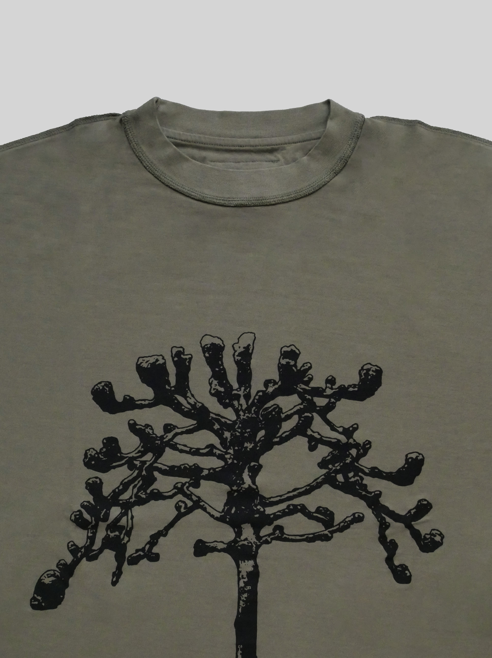 4 Button t-shirt Studio Stars
