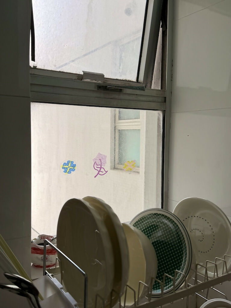 random (kova) clichés_Arificial Floral Window Film Studio Stars