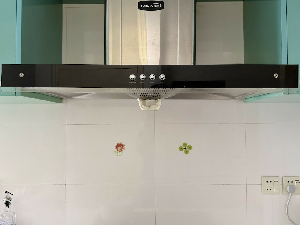 random (kova) clichés_Arificial Floral Window Film Studio Stars