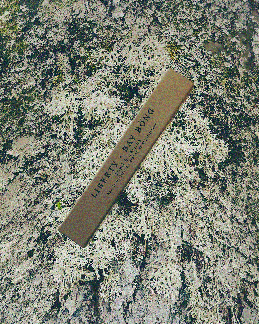 Xuân Nam Herbal 10ml Perfume Studio Stars