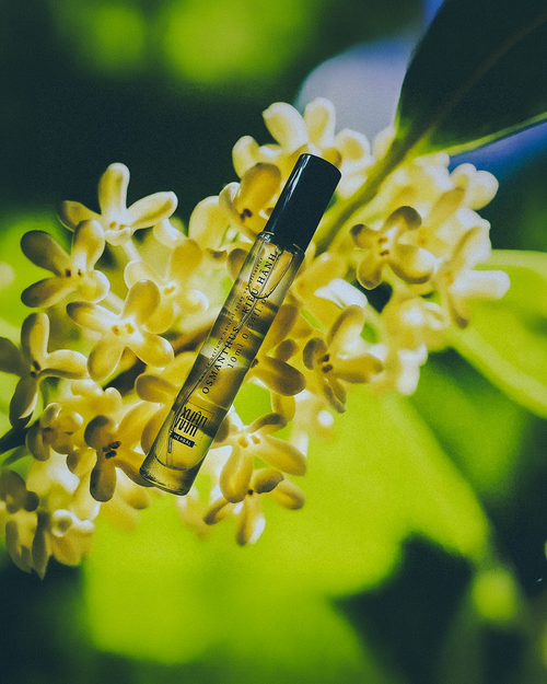 Xuân Nam Herbal 10ml Perfume Studio Stars