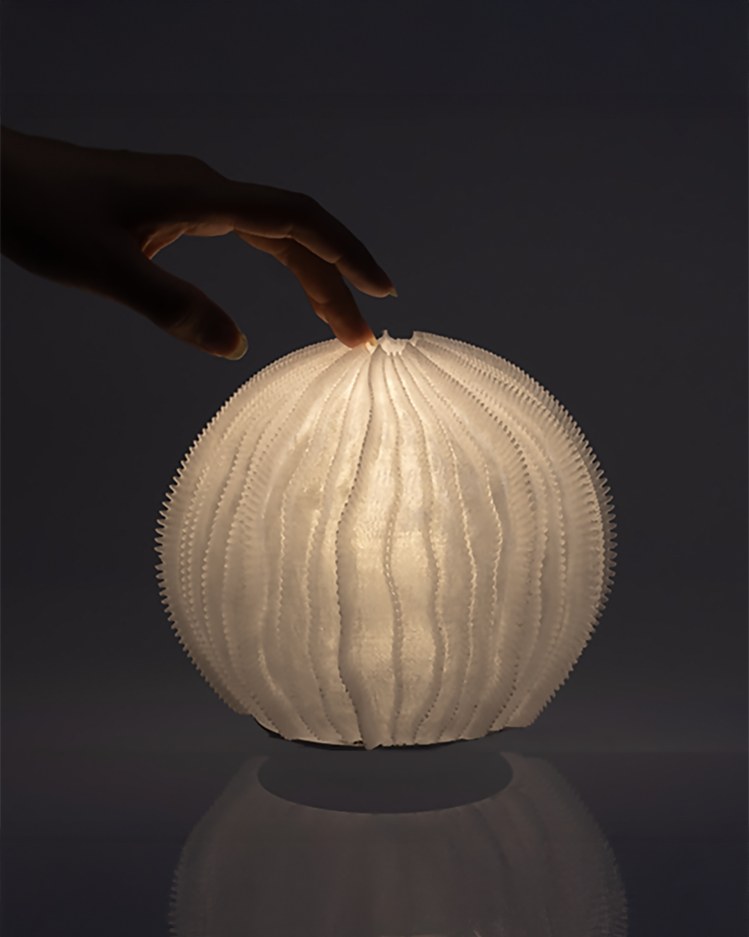 Urchin Lamp Patch design